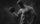 pexels-anush-1229356-scaled-2550x1912-1.jpg